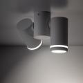 Lampa sufitowa ruchome spoty - reflektorki JET WHITE 2*GU10 - 4352