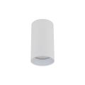 Spotlight lampa punktowa AMIS z ozdobnym złotym pierścieniem gwint GU10 10719 TK Lighting