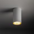Spotlight lampa punktowa AMIS z ozdobnym złotym pierścieniem gwint GU10 10719 TK Lighting