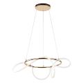 Lampa wisząca LED BLATON LED 4000K – nowoczesna oprawa sufitowa, złoty ring do salonu i jadalni  6775 TK Lighting