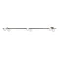 Brązowa listwa sufitowa z sześcioma kulistymi, białymi kloszami IMELO NEW BROWN 6xG9 11332 TK Lighting