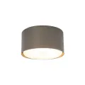 Brązowa lampa sufitowa punktowa do przedpokoju, korytarza TOP NEW BROWN 1xGX53 11062 TK Lighting