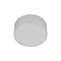 Lampa sufitowa łazienkowa IP54 w kolorze chrom LIVO CHROM S 2xE27  11476 TK Lighting