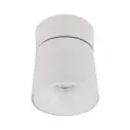 Biały reflektorek sufitowy ruchomy, oświetlenie punktowe do salonu 1x18W LED zmienna barwa światła KYOTO WHITE CCT 18155 TK Lighting