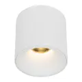 Aluminiowy spot natynkowy w kształcie białej tubki 18W LED ze zmienną barwą BLAZE WHITE CCT 18159 TK Lighting