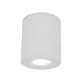 ORION M WHITE LAMPA SUFITOWA 1XGU10  IP44 - 11186