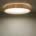 DEMI RAFIA LED LAMPA SUFITOWA - 11855