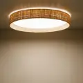 DEMI RAFIA LED LAMPA SUFITOWA - 11855