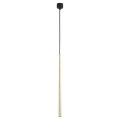 Lampa wisząca z pojedynczym kloszem, długą złotą rurką PIANO GOLD 6419 1xG9 TK Lighting
