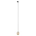 Zwis z szklanym bursztynowym kloszem do systemu 1 obwodowego TRACER 4928 TK Lighting